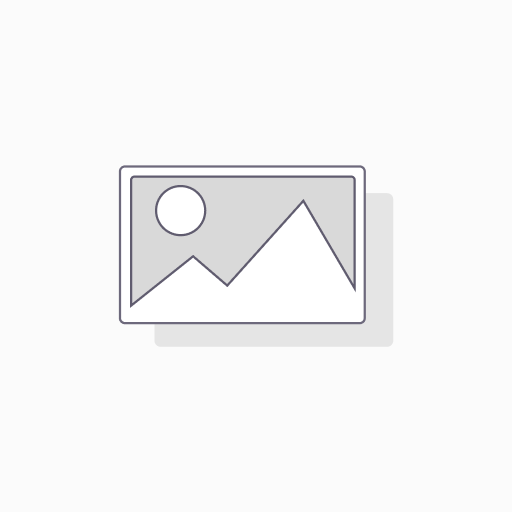 HNRNPR Antibody (N-term)
